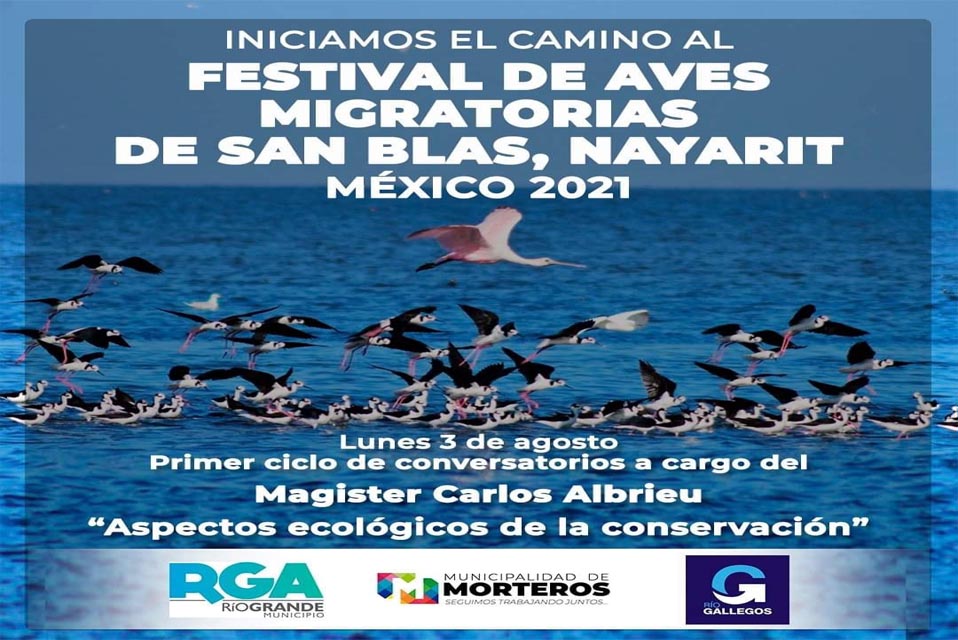 Festival Internacional de Aves Migratorias 2021