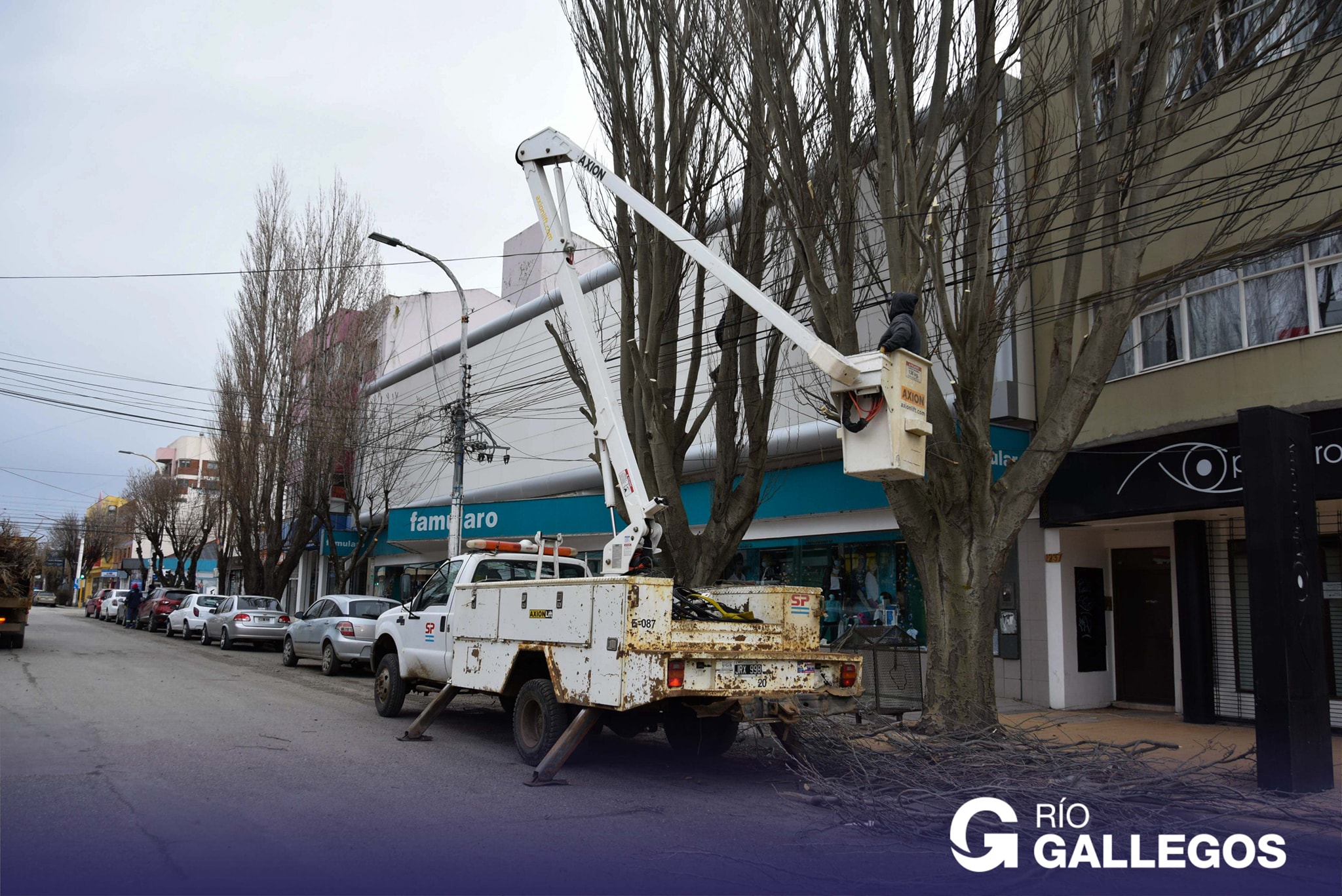 Operativo de poda en la avenida Kirchner