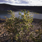 LAGUNA AZUL_9